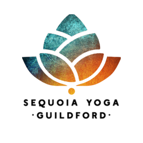 Client